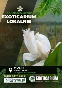Leszno Wydarzenie Targi EXOTICARIUM LOKALNIE Targi Terrarystyczne Leszno dwudniowe 8-9 listopada