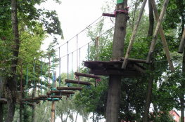Leszno Atrakcja park linowy Tarzan